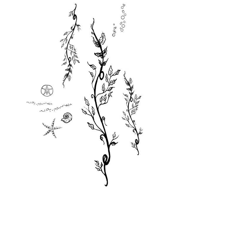 #2471 - Seaweed & Seashells - Ocean